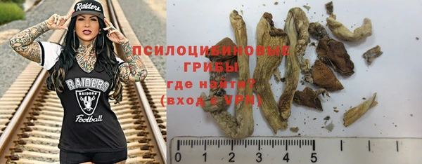мяу мяу мука Белокуриха