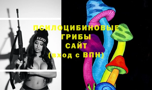 амф Белоозёрский